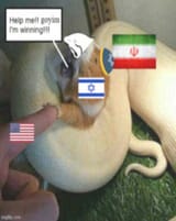 1750266659850298