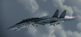 F-14A -Chopper-