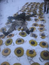 telamiina comfy suomi finland army