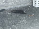 IMG_20250619_150828_311
