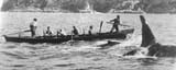 Killer_Whale_Old_Tom_and_whalers