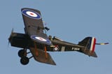 SE5a