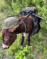 tacdonkey