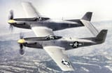 North_American_XP-82_Twin_Mustang_44-83887.Color