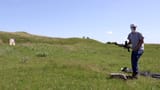 vlcsnap-2025-06-19-17h24m47s986