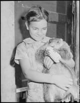 Daughter_of_miner_with_pet_ground_hog._Dixie_Darby_Fuel_Company,_Marne_Mine,_Lejunior,_Harlan_County,_Kentucky._-_NARA_-_541297