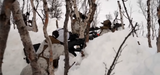 Snow reens