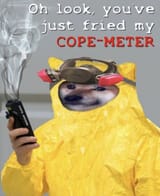 500px-You&#039;ve_Just_Fried_My_Cope-Meter
