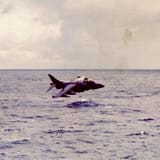 c3dad64c-3447-4a88-97af-17e9ef208476