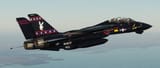F-14 Playboy
