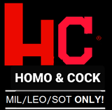 Aych Gay