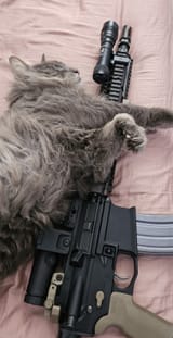 nyAR15