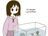 osaka prawnblem