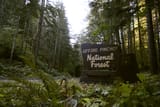 Gifford Pinchot National Forest. Rachel Wendling.