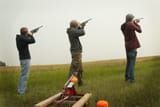 0320clays