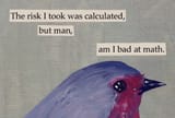 bad at math birb bird