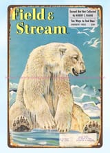 Field and Stream polar bear