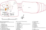 Diagram_of_the_Cuirass_Tomb