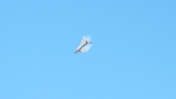 pas25-flights-01
