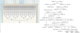 normal family tree vs cleopatra family tree