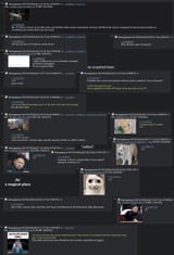 anon has a lot of webms