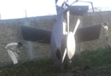 Pakistani lawn ornament