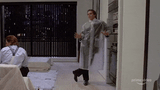 giphy-downsized