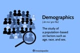 Demographics_Version2_4197900-dfa4a19b74e4483dbae8c7e1b224fa50