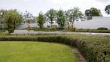 Vision-borrosa-1-1024x576.jpg