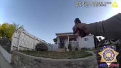 Armed homeinvader vs Kern County deputies_thumb.jpg