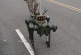 ROBO DOG2