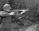 article-an-eternal-warrior-the-m14-8