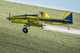 Palouse-4935