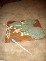 cactus flail