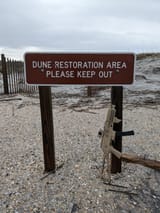 Dune_Restoration