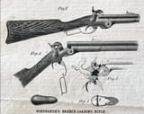 egggun