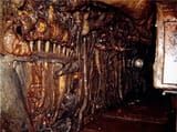 kuznetsov_evolved_hungry