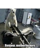 bonjour-motherfuckers-polar-bear-with-machine-guns-v0-82kpxw4m7bma1-1513821323