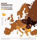 potato consumption