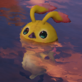 rappy_swim
