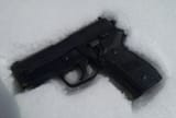 10 P228 snowy adventure