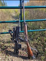 Sporting rifle and milsurp