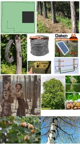 9 preplant trees for emergency fencing2
