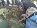 Armed perpetrator vs Los Angeles deputies [01]_thumb.jpg