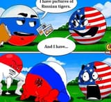 iq81esiniz111