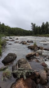 creekside