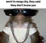swagggg