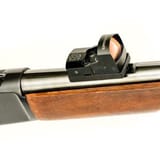 AM081d1