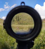 11.5BCM_600m
