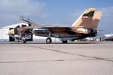 F-14 Tomcat iranian agressor livery